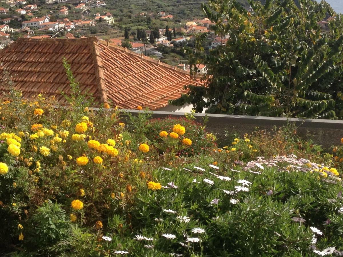 Villa Girasol Arco da Calheta  Exteriér fotografie
