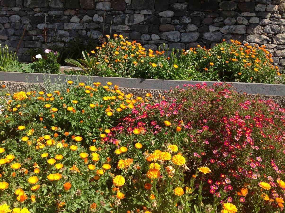 Villa Girasol Arco da Calheta  Exteriér fotografie